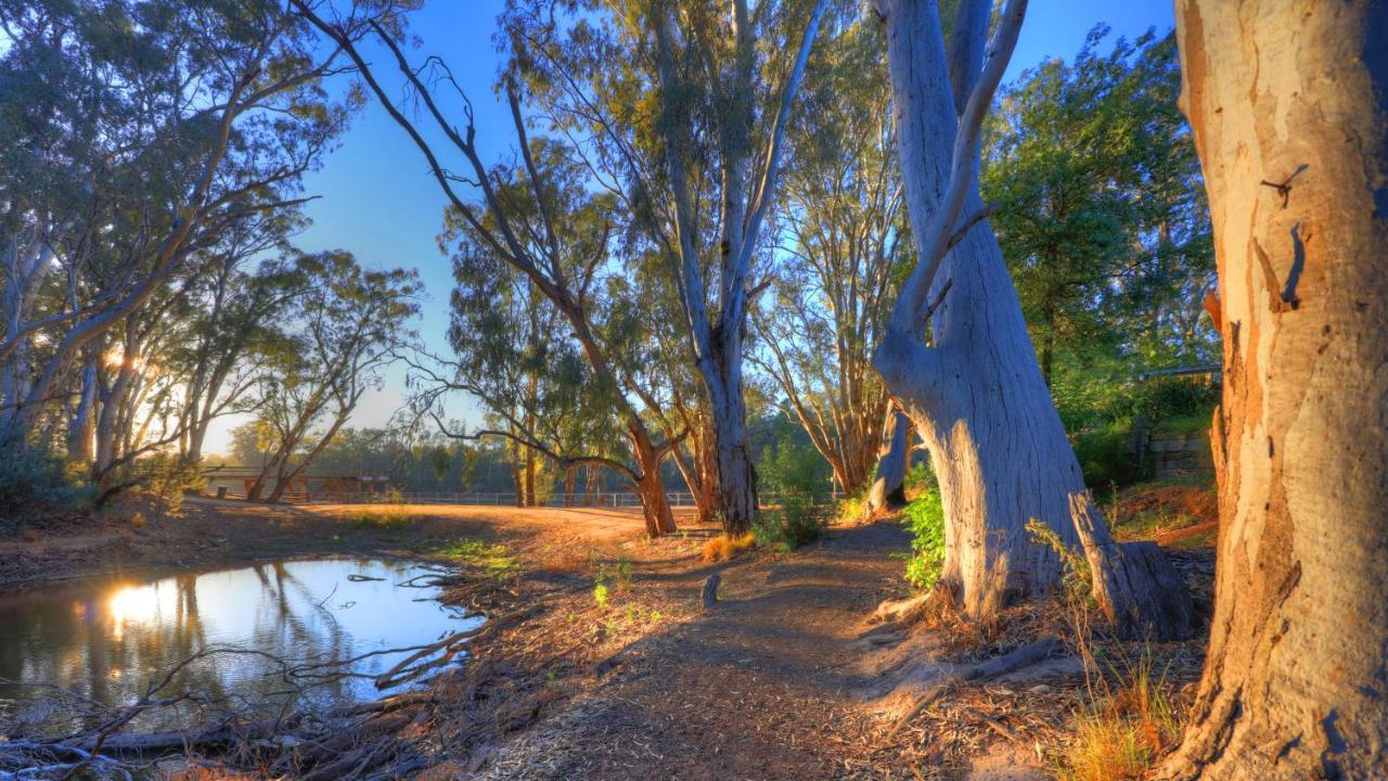 Moama Riverside Holiday Park エクステリア 写真