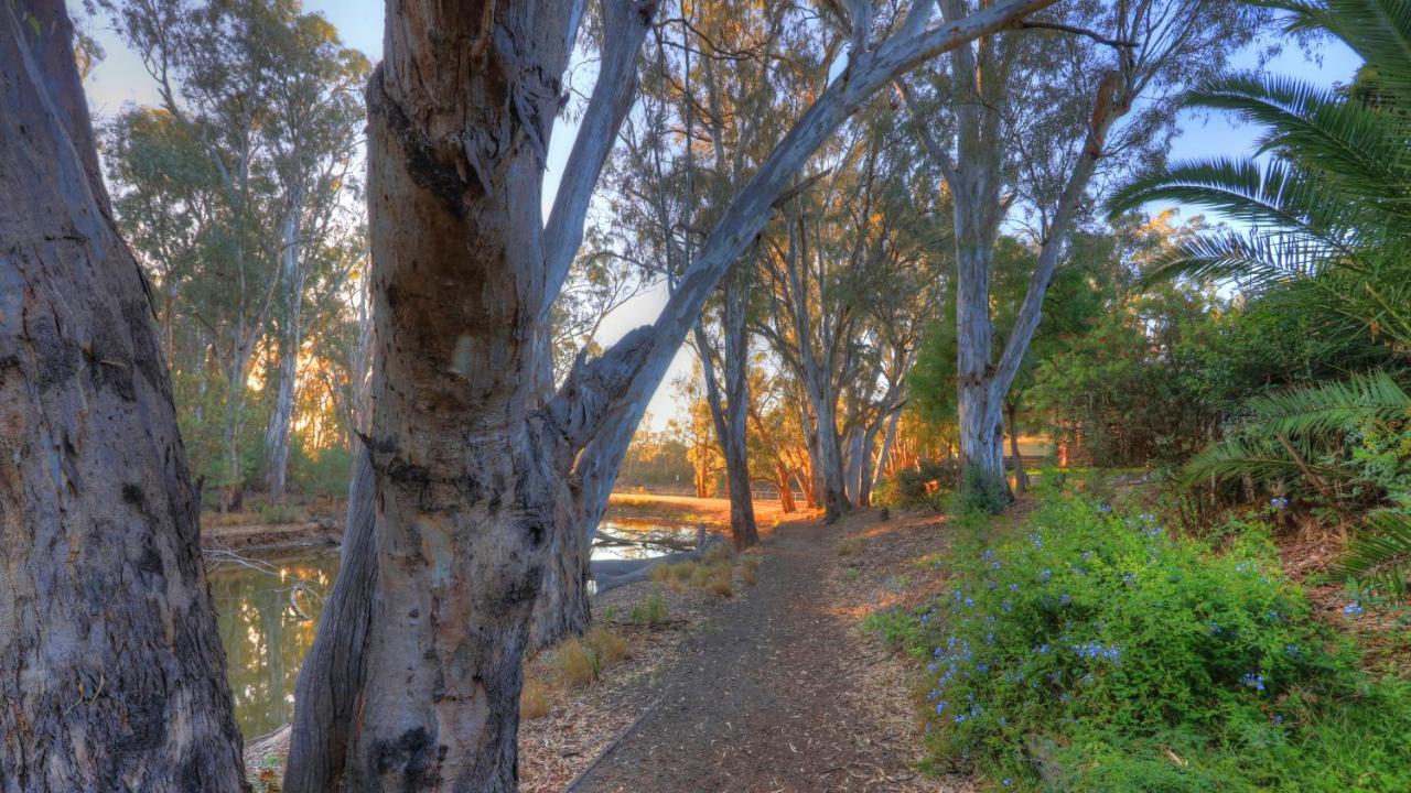 Moama Riverside Holiday Park エクステリア 写真